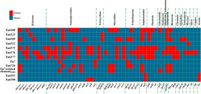 Chromosomal Integration of Huge and Complex blaNDM-Carrying Genetic Elements in Enterobacteriaceae